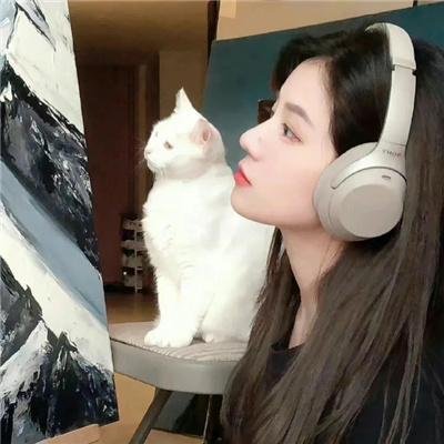 碧姬达蕙花